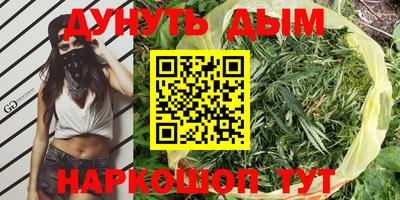 стафф Будённовск