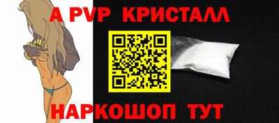 стафф Будённовск